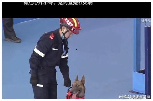 二驴什么背景,从草根逆袭到网红巨头的传奇历程